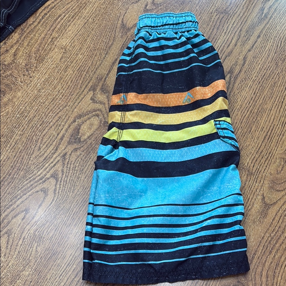 Striped Multicolor Swimshorts